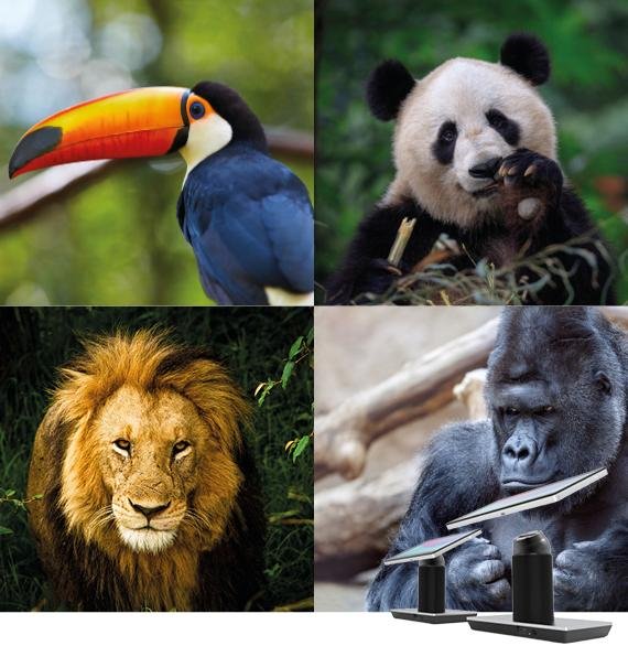 homepage header tall